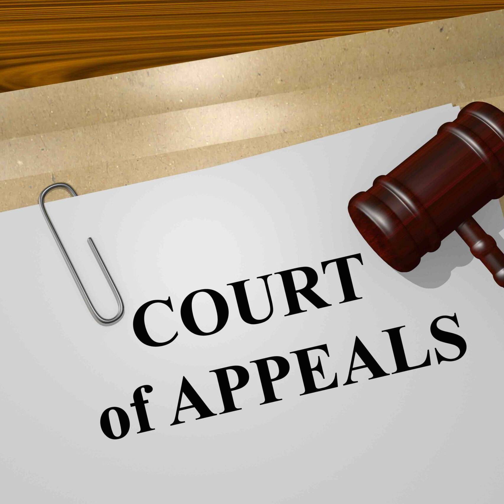 Court of Appeals concept