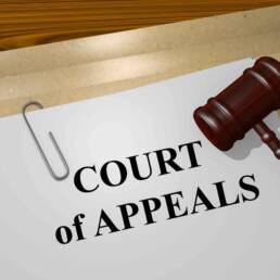 Court of Appeals concept