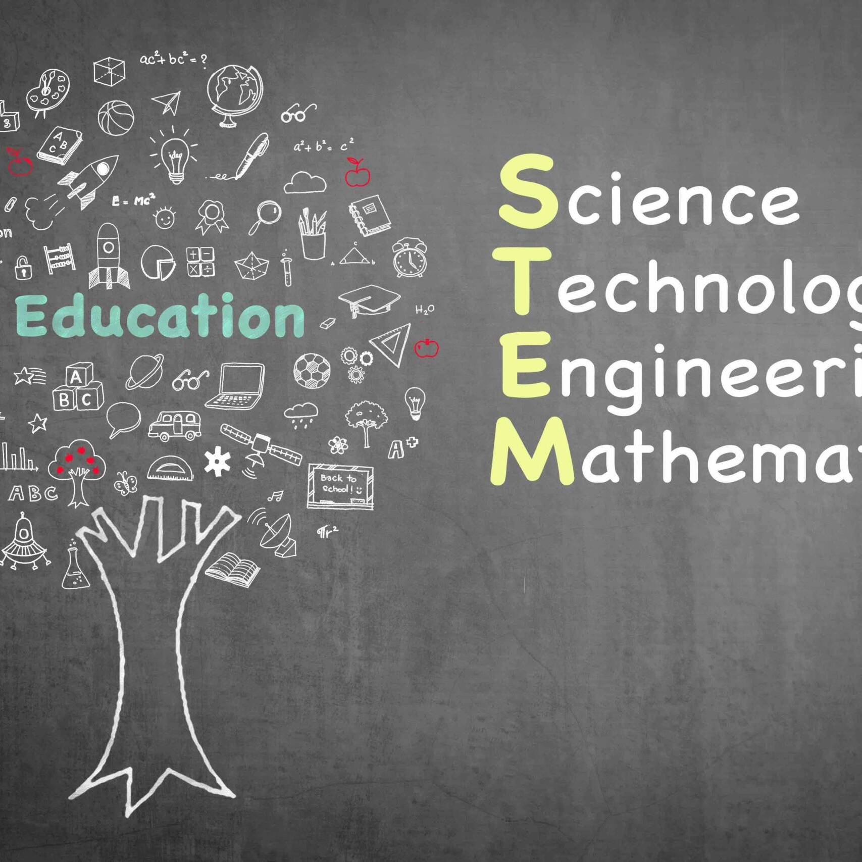 STEM education tree: Science Technology Engineering Mathematics knowledge based educational integration school practice illustrative graphic design doodle on green chalkboard blackboard background