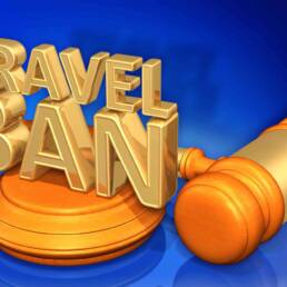 Travel Ban Law Legal Gavel Concept 3D Illustration