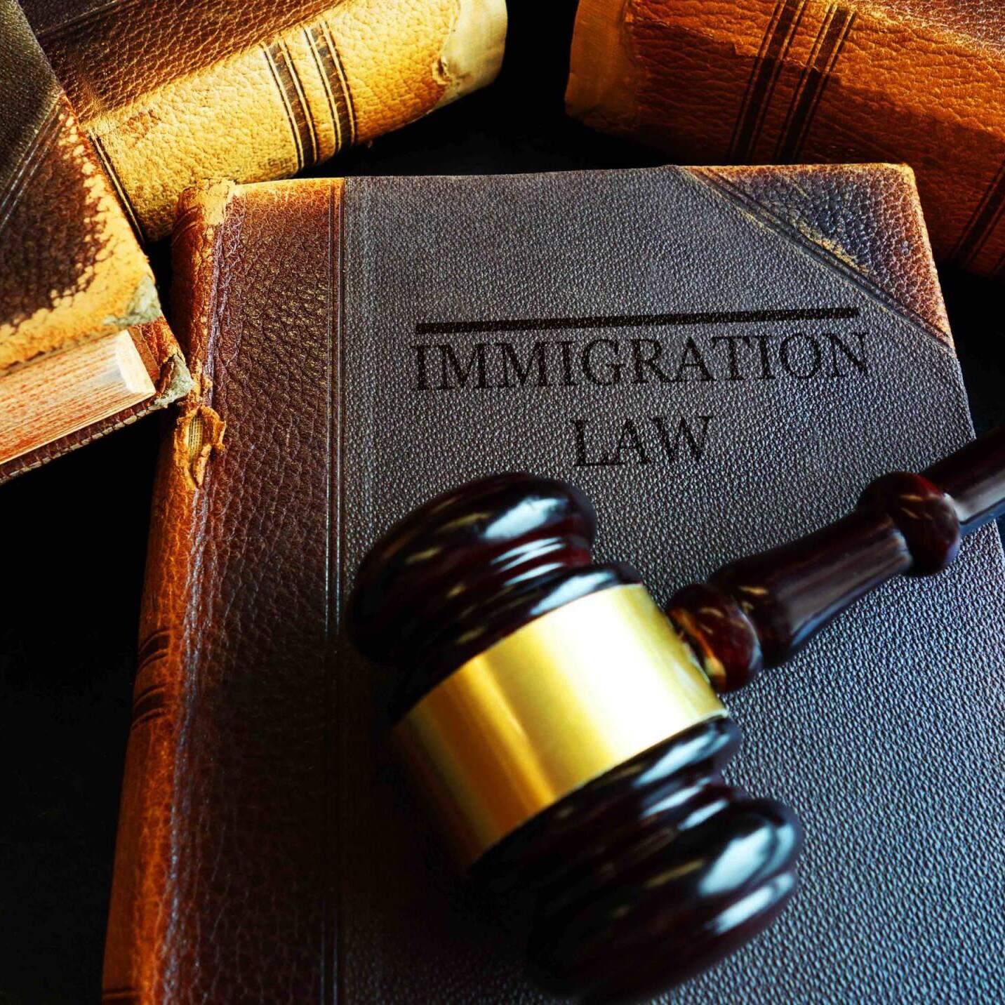 Immigration Law concept