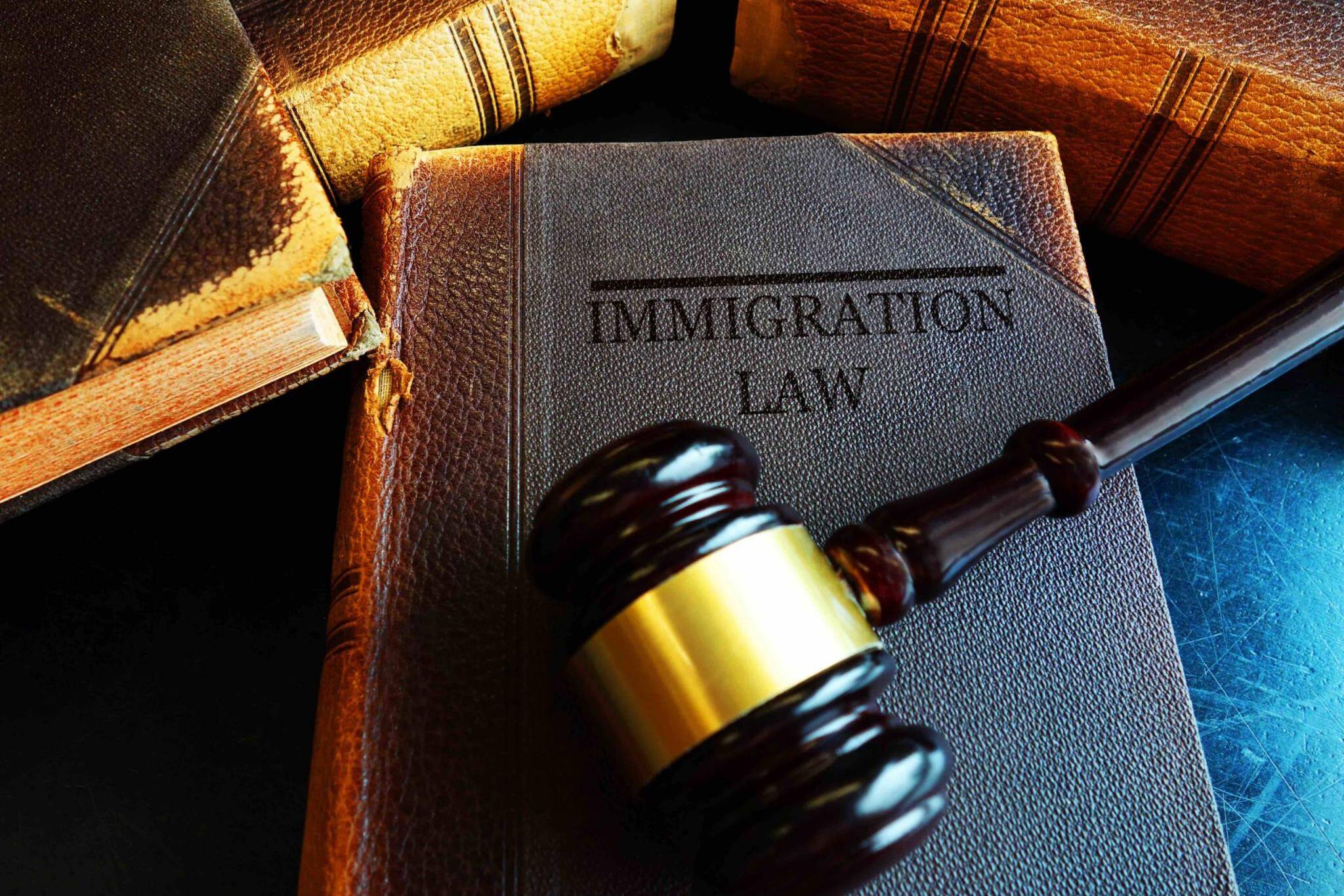 Immigration Law concept