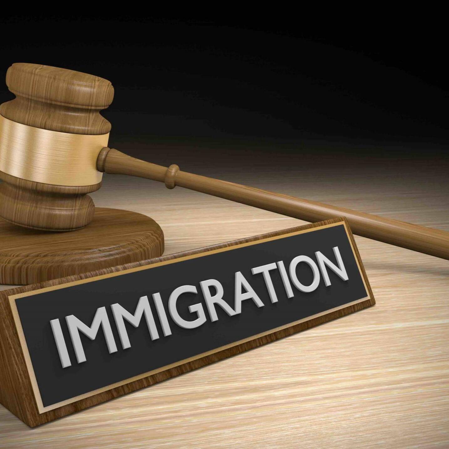 Illegal immigration reform and law policy