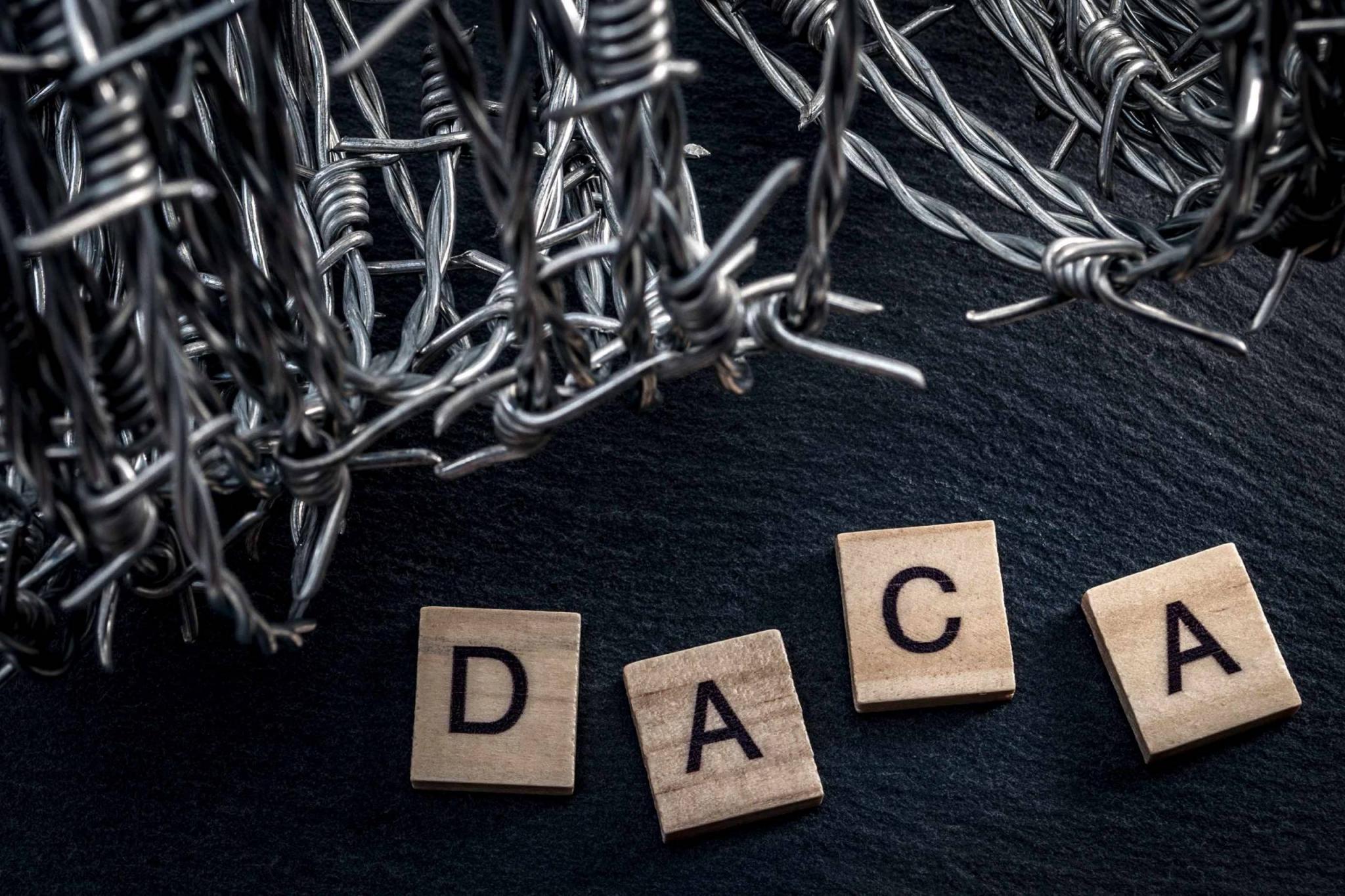 Deferred action for child arrivals concept with barb wire next to letters that spell the acronym DACA. DACA is a piece of legislation that protects immigrants that were brought to the USA as children