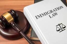 Immigration law book and gavel. Consumer protection book and gavel. Law and regulations concept.