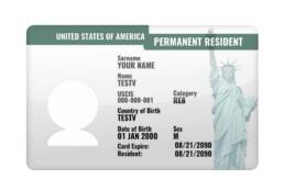 permanent resident USA card 3d render design