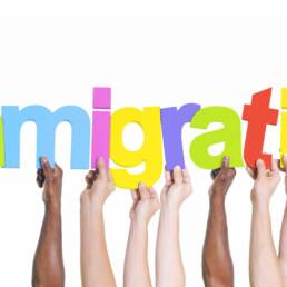 Diverse Hands Holding the Word Immigration