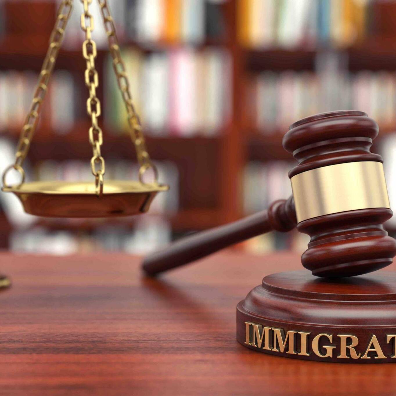 Immigration law