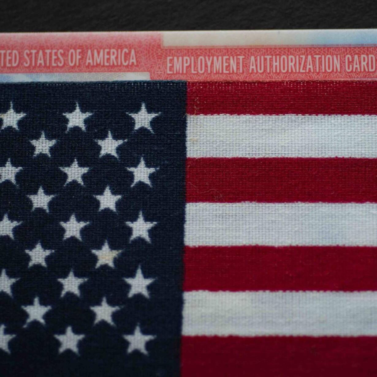 Employment authorization card under Flag of USA (United states of America). Close up.