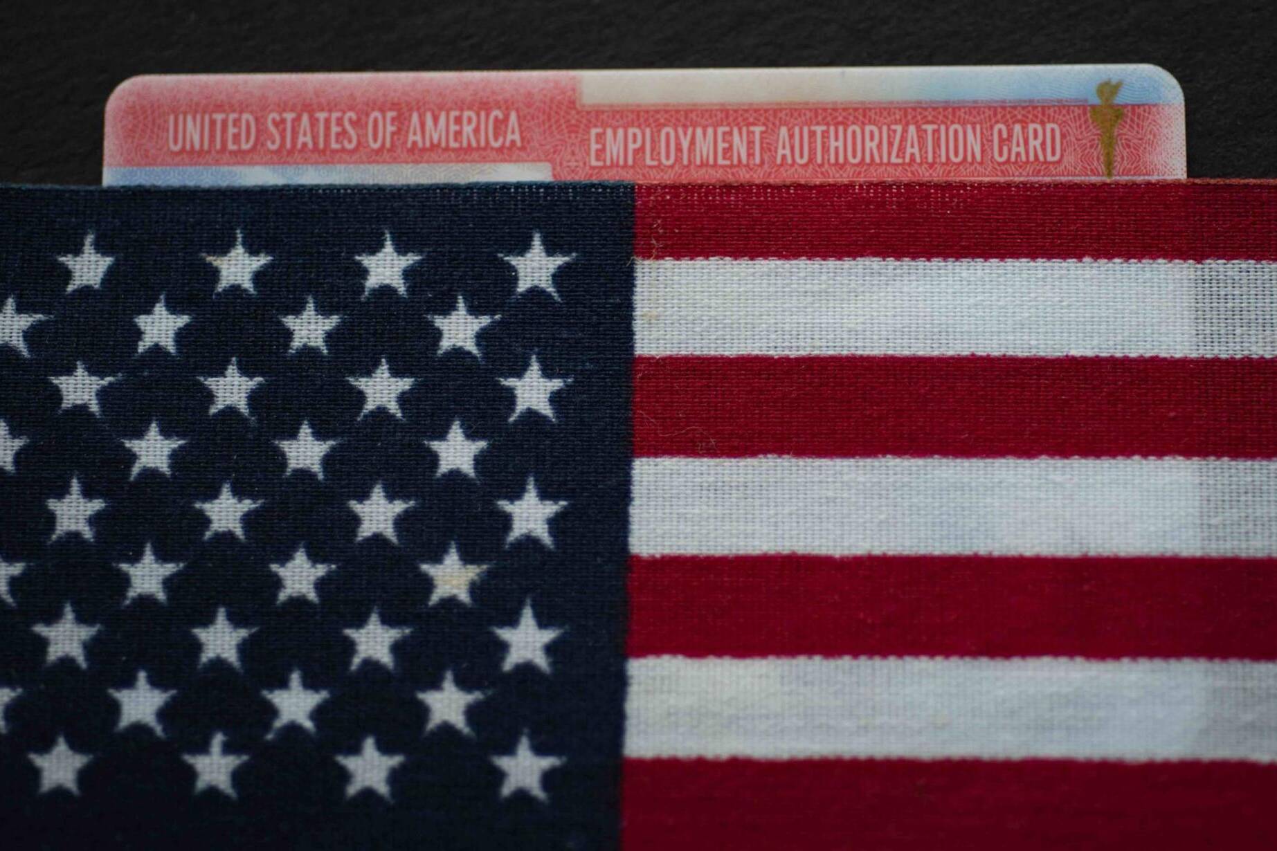 Employment authorization card under Flag of USA (United states of America). Close up.