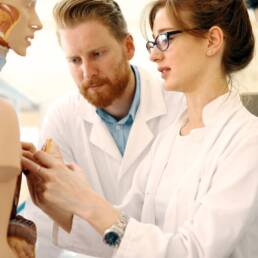 Students of medicine examining anatomical model in classroom