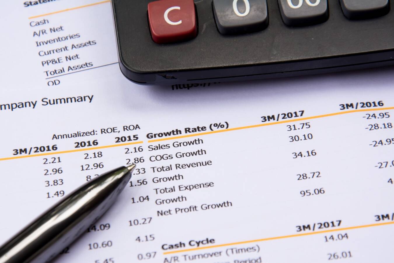 financial budget statement read and check the number for analysis invest stock