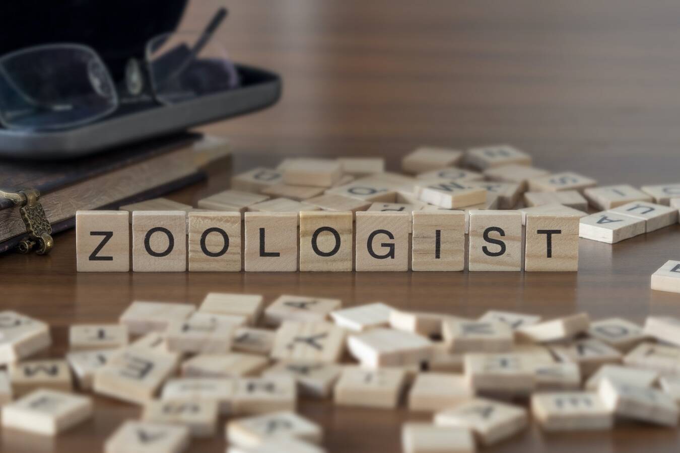 Zoologist the word or concept represented by wooden letter tiles