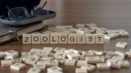 Zoologist the word or concept represented by wooden letter tiles