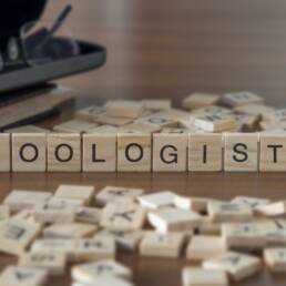 Zoologist the word or concept represented by wooden letter tiles