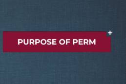 bil purposeOfPERM Videos