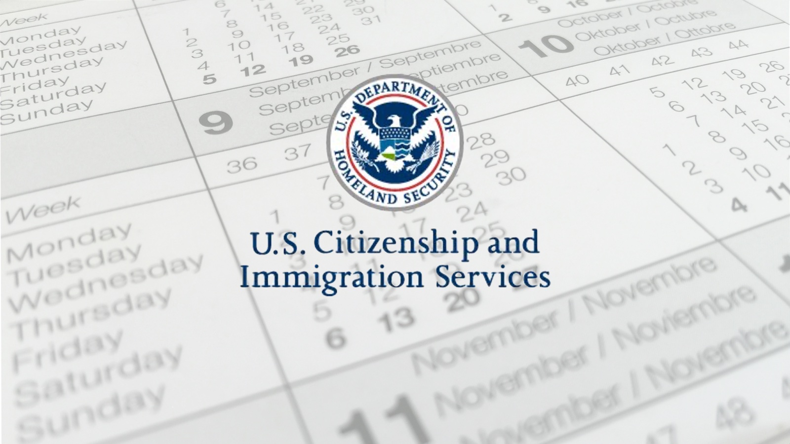 USCIS Processing Times Berardi Immigration Law