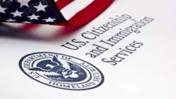 uscis flag