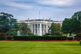 bil whiteHouseGrounds