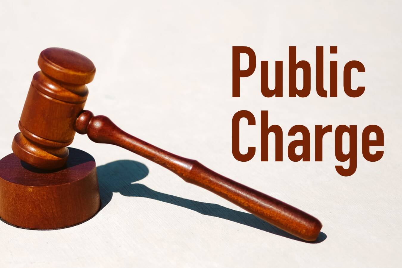 bil publicCharge Gavel