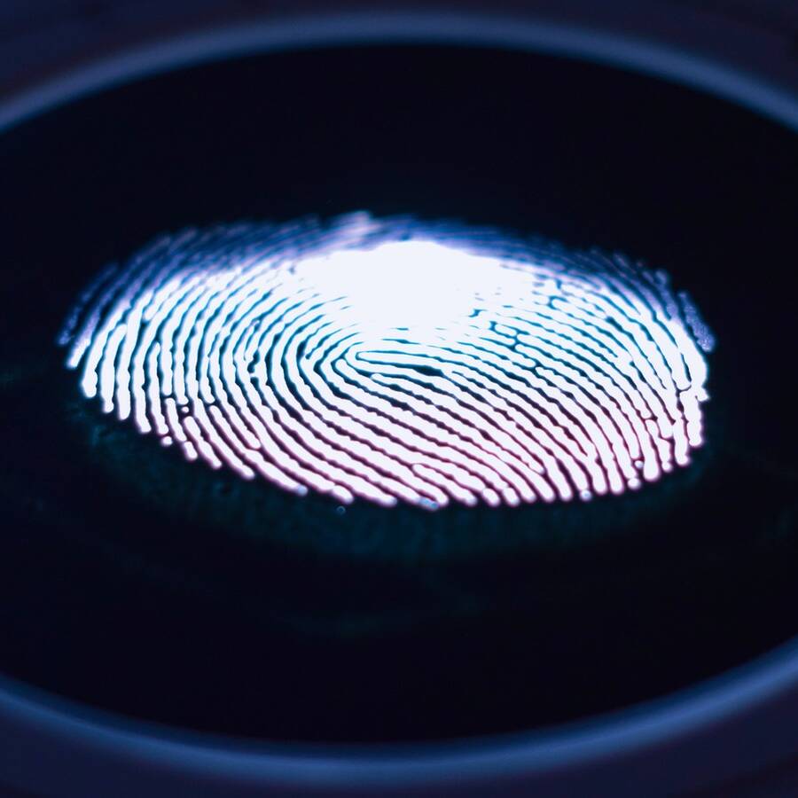 bil fingerprint