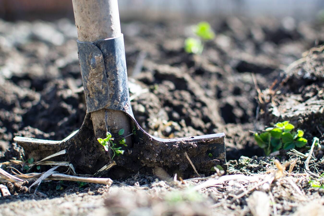 bil soilScientist