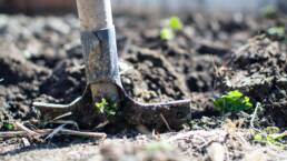 bil soilScientist