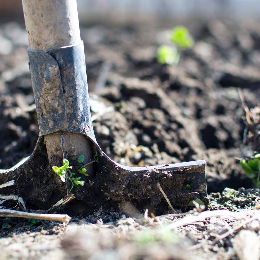 bil soilScientist