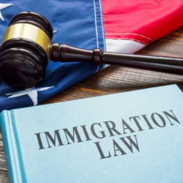 Trump’s Immigration Plans Sweeping Changes and Controversies