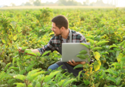 agricultural engineer