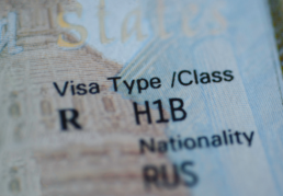 h 1b visa