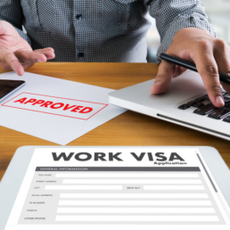 tn visa