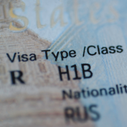 h 1b visa