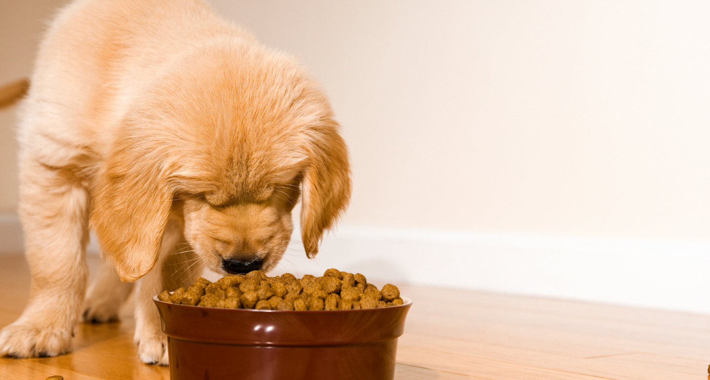 https ::www.petfoodindustry.com:regions:us and canada:article:15737327:deportations may challenge pet food labor and supply chain