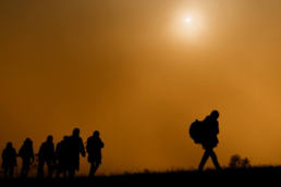immigration