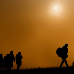 immigration