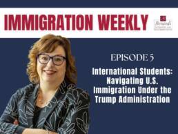 IWP005 Feature