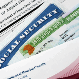Greencard Revoked Blog