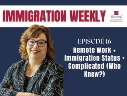 IWP016 Feature