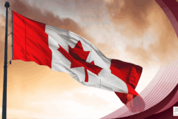 Visa Revocation Blog