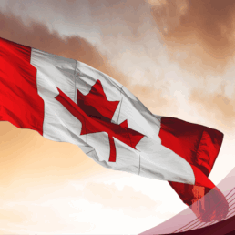 Visa Revocation Blog