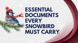 Essential Documents Blog Image