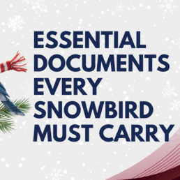 Essential Documents Blog Image