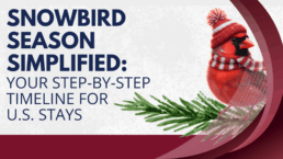 Snowbird Infographic Blog Image