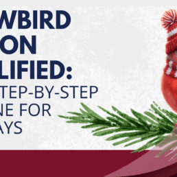 Snowbird Infographic Blog Image