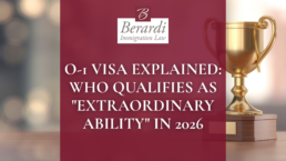 01 Visa 2026