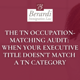 TN Title Matching Audit
